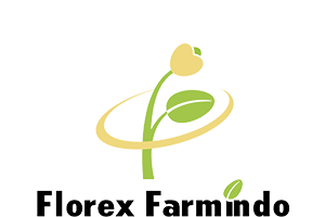 Florex Farmindo